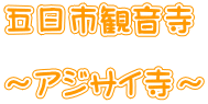 五日市観音寺  ～アジサイ寺～ 