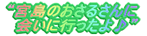 “宮島のおさるさんに 　会いに行ったよ♪”